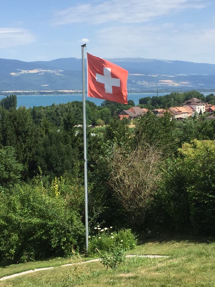 Schweizer Fahne