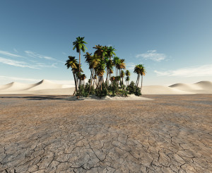 oasi con palme rigogliose in mezzo a terreno arido con dune stagliate sull'orizzonte