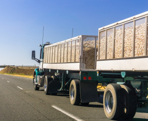 Lastwagen mit Ladung an Zwiebeln fährt auf einer Landstrasse